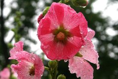 photo 0120